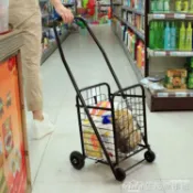 杰適 購物車便攜摺疊小拉車爬樓買菜手推車老年家用拖車拉桿行李 NMS【摩可美家】