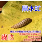 (店+)《蟲乾飼料》高蛋白質含量の黑水虻蟲乾｜多種口味、純素養殖 Dried black soldier fly larvae 適用多種寵物 貓.犬.蜜袋鼯.雪貂.柯爾鴨.鸚鵡.爬蟲.龜.蛙.刺蝟.黃金鼠.中大型觀賞魚.倉鼠 .狐獴.澤龜.守宮.鬃獅蜥.烏龜