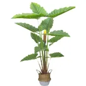 【園藝世界】人造樹-12葉帶果姑婆芋仿真樹(室內擺飾/仿真樹/姑婆芋)