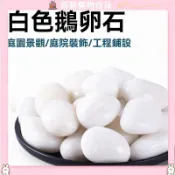 台灣出貨 百貨 居家 鵝卵石 拋光小石頭花盆 魚缸裝飾 庭院陽臺公園 造景原石通用型清倉 庭院花園 陽台