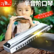 悠樂館 12孔16孔初學演奏SW1040 1248 1664專業樂器