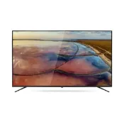 【老王電器】【結帳再x折】【奇美】4K 58吋 智慧連網顯示器 TL-58G100