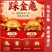 現貨｜金龜 抓周道具 烏龜 周歲禮儀式 滿月 收涎 周歲佈置 金錢龜 吉祥擺件 送禮首選 千年龜 生日派對拍照 中式祈福