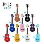 【小間樂器】〈母親節優惠〉台灣知名廠牌Borya 21吋 烏克麗麗 彩琴  空琴價只要480元