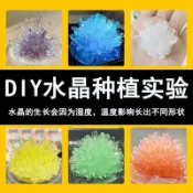 🔥桃園出貨🔥兒童種植水晶實驗套裝手工diy製作生長結晶國小生小實驗動手玩具