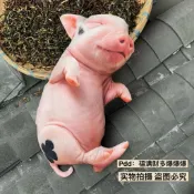 🍀臺灣出貨🍀仿真超萌豬豬狗狗造型抱枕金毛柯基臘腸沙皮狗狗創意家居裝飾玩偶
