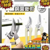 🐱‍🐉臺灣出貨 修枝剪 檳榔剪刀 樹枝剪 農用剪刀 果樹剪 摘果剪 採果剪刀 花剪 園藝剪刀 修剪葉子 剪定鋏 粗枝