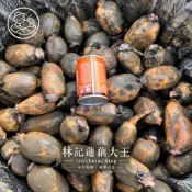 ❤️林記蓮藕大王❤️小顆蓮藕「二台斤超優惠組」‼️適合涼拌、榨汁、甜點❤️新鮮現採帶土