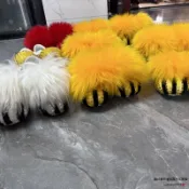 舞獅鞋 醒獅表演專用鞋 純羊毛手工獅鞋 舞龍舞獅道具 表演團體訓練用 醒獅表演專用鞋 手工獅鞋防滑耐穿yubab0703