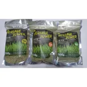 H-STUDIO天然植物10合1牧草粉 陸龜 纖維 腸胃 排酸 結石 1kg