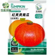 原裝紅貝貝南瓜種子 小南瓜 貝貝南瓜 栗子南瓜 日本品種 人氣迷你南瓜 粉糯口感 陽台盆栽 家庭菜園 爬藤蔬果 新品種