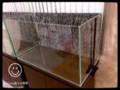 蛋叔叔-3尺 超白魚缸 90 x 45 x 50 cm 超白缸 水草缸 ADA 海水缸 開放缸 高透 高亮 時尚 雨林缸