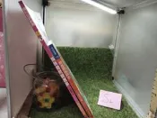 【雜貨小社】優質書籍：《婦幼家庭出版-媽咪寶貝健康操 （附光碟）、 阿基師偷吃步 》