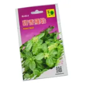 翠筠 香草種子 種子 種菜 苗種子 迷迭香 薰衣草 薄荷 檸檬香蜂草 百里香【FC410】 123便利屋