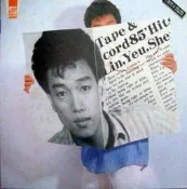 合友唱片 新格 林禹勝4 停留 人間男女電影主題曲 黑膠唱片 LP 面交 自取