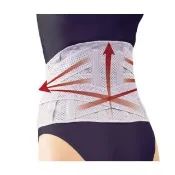 【感恩使者】ALPHAX 護腰帶 安定保護腰部 -尺寸 S-3L(日本製 阿路法克斯)