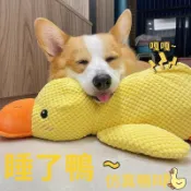 Dog Sleeping Companion Duck Toy, Boredom Reliever, Little Ye