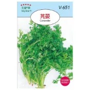 (店+)【天橙種子】芫荽種子 香菜 Coriander 全年可播種 香辛類種子 天星牌 穗耕種苗 彩色原包裝