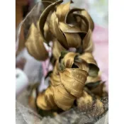 #JM花草夢 #佛光樹 #進口乾燥葉材#擺設#乾燥花材#拍照道具