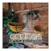 (店+)吊盆 花盆 壁掛花盆 椰纖盆 椰纖吊盆 椰纖壁盆 椰盆
