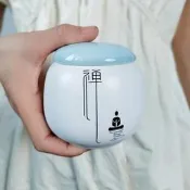 臺灣現貨陶瓷密封罐便攜茶葉罐精品高檔迷妳小茶罐1兩茶葉儲存罐儲茶罐子