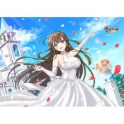【二手】閃亂神樂NEW LINK詠(盛・伝説爆乳祭・弐) B2掛軸