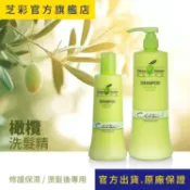 【芝彩 Chihtsai】橄欖洗髮精｜修護洗髮精 保濕 染燙後乾燥髮質適用 500ml 1000ml｜官方出貨.原廠保證