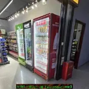 【現貨可開發票】冷藏冷凍網紅酒水啤酒展示保鮮立式雙門銅管商用飲料冷飲蔬菜冰櫃
