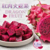 【全家行動購】【冷藏店取-福和】紅肉火龍果2入(1200g/袋)