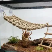 【可開發票】天然海草編織 吊床睫角守宮寄居蟹攀爬鸚鵡攀爬玩具繩造景