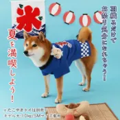 貝果貝果 日本 Pet Paradise 代理 Narikiri 狗面具祭典和服 [D5964] 大狗