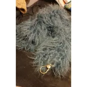 【快樂瞎拼】全新~Furla 義大利百年平價精品 秋冬長毛毛單肩（側背）的替換肩帶 灰藍色 皮包配件 附防塵袋