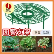 園藝支架【台灣現貨】草莓高架 花卉適用 陽台種菜架 草莓支架植物爬藤 草莓種植架 種草莓 園藝神器【P0261】