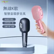 常鴻萬貨行 狂熱者 S58麥克風話筒家用全民K歌寶一體機ktv音響藍牙