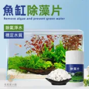 淨水片 魚缸淨水片 除藻片 魚缸除藻片 魚缸清潔 去苔劑 水族箱除藻劑 鱼缸除藻 除綠藻 穩定水質 除氯水 殺菌淨水