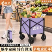 【網紅爆款 🔥🔥🔥】正火【買菜小拉車】購物車取件小推車帶娃遛狗便攜摺疊聚攏露營車
