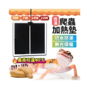 (店+)加熱墊 寵物加溫墊 爬蟲加熱墊 爬蟲寵物加熱墊 保溫墊 加溫墊 角蛙 蛇 守宮 陸龜加熱墊
