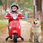 【奔雷國際】Vespa PX150 偉士牌復古兒童電動機車 紅色/白色(機車模型摩托車玩具 模型車 玩具遙控車)