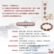 【開運方程式】財寶舍利龍宮舍利項鍊(避邪護身l除障解災納l財促進人緣)