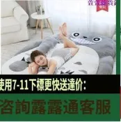 懶人沙發大超大龍貓床墊睡墊雙人睡袋卡通榻榻米懶人沙發床墊臥