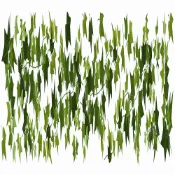 義大利進口HOME DÉCOR 滾邊壁貼 30cmX200cm 常春藤(C53013)