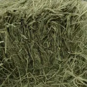 【芳香牧草】提摩西一割粗桿牧草10公斤15公斤百慕達苜蓿燕麥草兔子龍貓豚鼠荷蘭豬牛羊馬小寵飼料