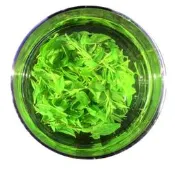 【品質驗證】2026新茶小葉苦丁茶青山綠水500g茶葉非四川貴州非野生官方旗艦店