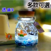 綠藻球生態瓶 微景觀生態瓶海藻球生態瓶綠藻球玻璃瓶聖誕節禮物辦公室小物小盆栽生日禮物聖誕節禮物手做diy(套裝組)