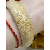 19圍60.5mm天然珊瑚玉，菊花玉、發財玉手環手鐲 全館現貨
