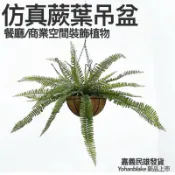 😇超商免運費😇天花垂吊蕨類 仿真蕨類植物 北歐風 仿真植物 空中植物 吊球吊頂蕨葉 假花藝 壁掛 吊掛蕨葉 吊頂植物