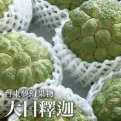 【十翼饌選果】台東巨無霸大目釋迦x1盒入(4-5粒入/5斤)x2盒