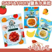【多包組】日本 SALT&FRUIT 鹽系水果乾 鹹甜 番茄乾 芒果乾 香蕉乾 蜜餞 解饞 酸甜 解膩 夏天 消暑【小福部屋】