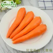 滿299出貨 假水果模型 假水果 仿真水果 假蔬果 假蔬菜 塑料仿真胡蘿卜假紅蘿卜模型水果蔬菜套裝配件櫥柜展示用品滿29