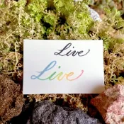 手繪水彩英文字書法紋身貼紙彩虹簡約小清新迷你刺青Live夢想生活